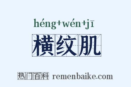 横纹肌是什么意思的图片